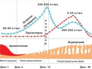 Влияет ли прием дюфастона на уровень ФСГ