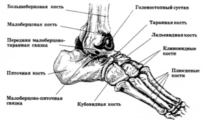 Воспаление на таранной кости