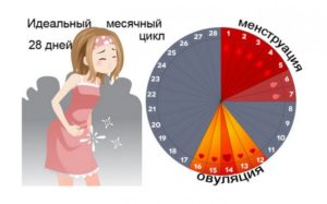 Менструация длится 8 день