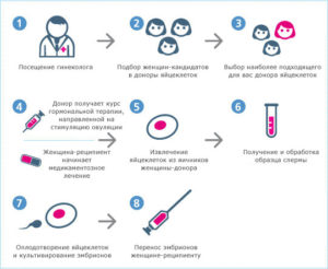Донорство яйцеклетки и беременность