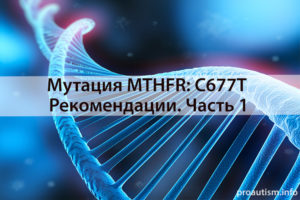 Мутации в гене MTHFR C677-T