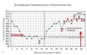 Можно ли планировать беременность при постоянной температуре 37.2