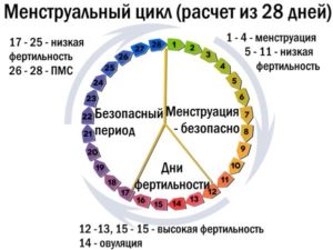 Менструальный цикл 25 дней