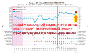 Месячные и базальная температура