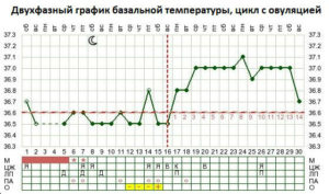 Вирахувати початок овуляції