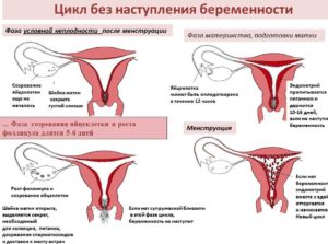 Месячные начались и сразу закончились