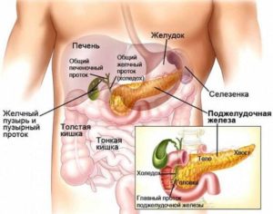 Что лечить? Желудок, поджелудочную или желчный?