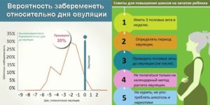 Вероятность беременности при незащищенном па в период овуляции