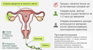 Можно ли забеременеть от спермы на руке? Или