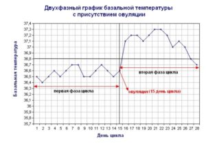 Вирахувати початок овуляції