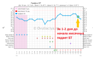 Месячные и базальная температура