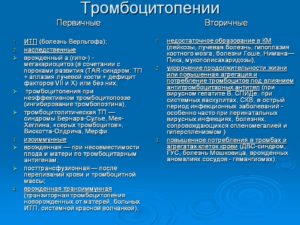 Диагноз Синдром серых тромбоцитов под вопросом? ИТП?