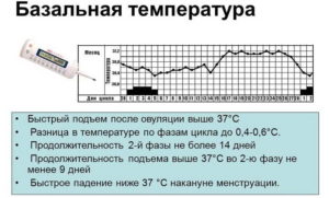 Высокая температура в течении 2 недель