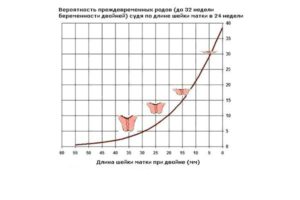 Длина шейки матки при многоплодной беременности