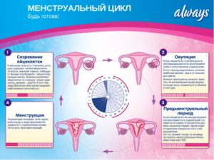 Менструации начались и закончились в один день