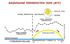 Вирахувати початок овуляції