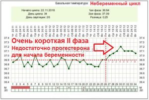 Месячные через 12 дней после месясных