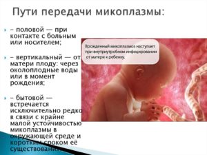 Можно ли заразить партнера Уреаплазмой