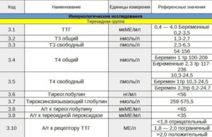 Узи щитовидной железы и ттг