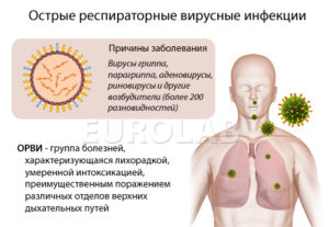 E. coli вызывает восплаение л/узлов, ощущение простуды, поражение суставов?