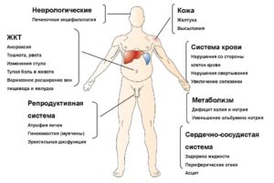 Муж болеет хроническим гепатитом В