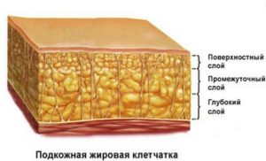 Восстановление подкожно жировой клетчатки