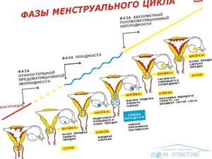 Возможно ли при неполном половом акте забеременеть