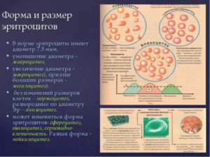 Микроцитоз + у ребенка, чем это опасно