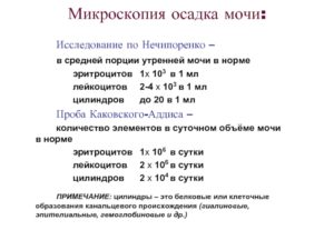 Высокие эритроциты, Нечипоренко