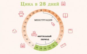 Менструация длится 8 день