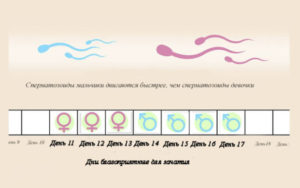 Возможно ли забеременеть на 4 день месячных