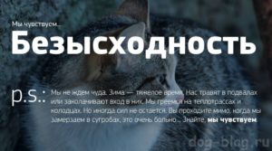 Чувство безысходности - Ощущение, что в жизни нет ничего