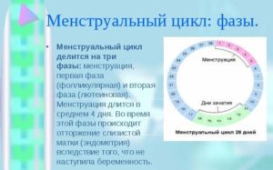 Менструальный цикл длится 3 дня