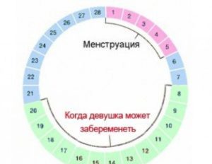 Менструация длится 8 день