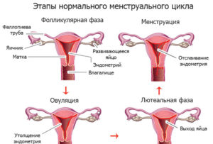 Месячные не останавливаются