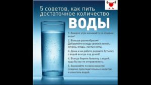 Влияет ли количество выпитой жидкости на тест