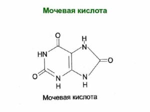 Мочевая кислота