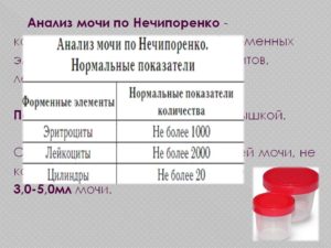 Эритроциты 3000 в моче по Нечипоренко