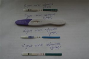 Влияние Дюфастона на ХГЧ во время беременности