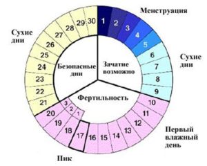 Возможна ли беременность в 1 день месячных