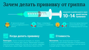 Можно ли делать прививку от гриппа 2 раза в год