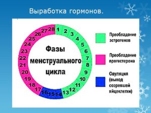 Возможна ли беременность в 1 день месячных