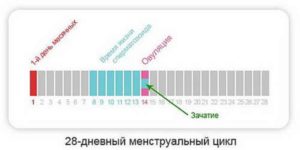 Месячные были после ПА, но в следующий цикл задержка. Беременность?