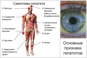 Муж болеет хроническим гепатитом В