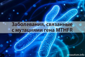 Мутации в гене MTHFR C677-T