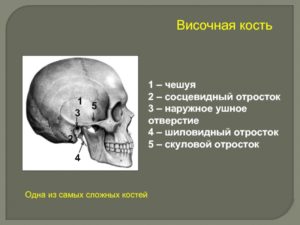 Нарушение пневматизации пирамид и сосцевидных отростков