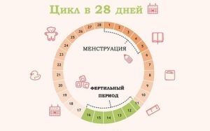 Месячные идут 15 день