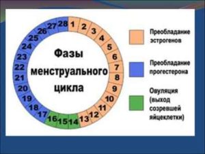 Можно ли забеременеть на 4 день месячных