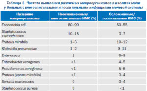 Эпидермальный стафилококк в моче