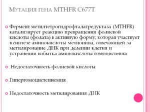 Мутации в гене MTHFR C677-T